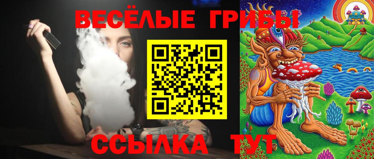 Оренбург  Псилоцибиновые грибы Psilocybe  Вход с VPN 